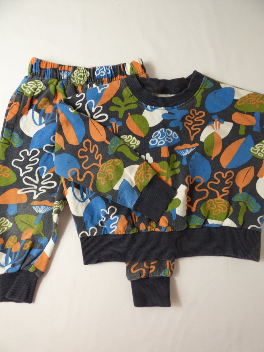 Open Edit Kids Mushroom Print Sweatpants and Sweatshirt Set, Size 2 Years